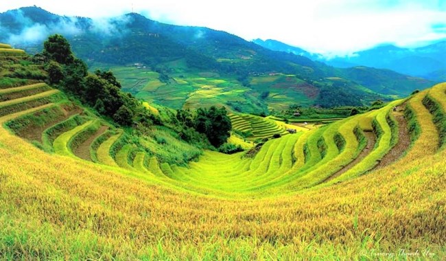 Kiểm soát tốt dịch Covid-19, du lịch Mù Cang Chải (Yên Bái) sôi động trở lại (6/10/2020)